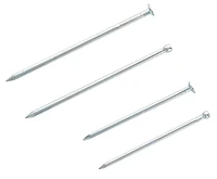 Common & Finishing Nails by Studio Décor®