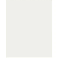 Pacon® Plastic Poster Board, Clear