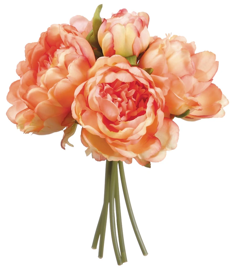 24 Pack: Coral Peony Bouquet
