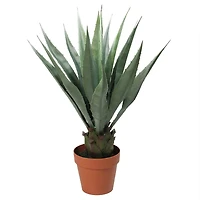 31.5" Potted Artificial Green Agave Americana Succulent