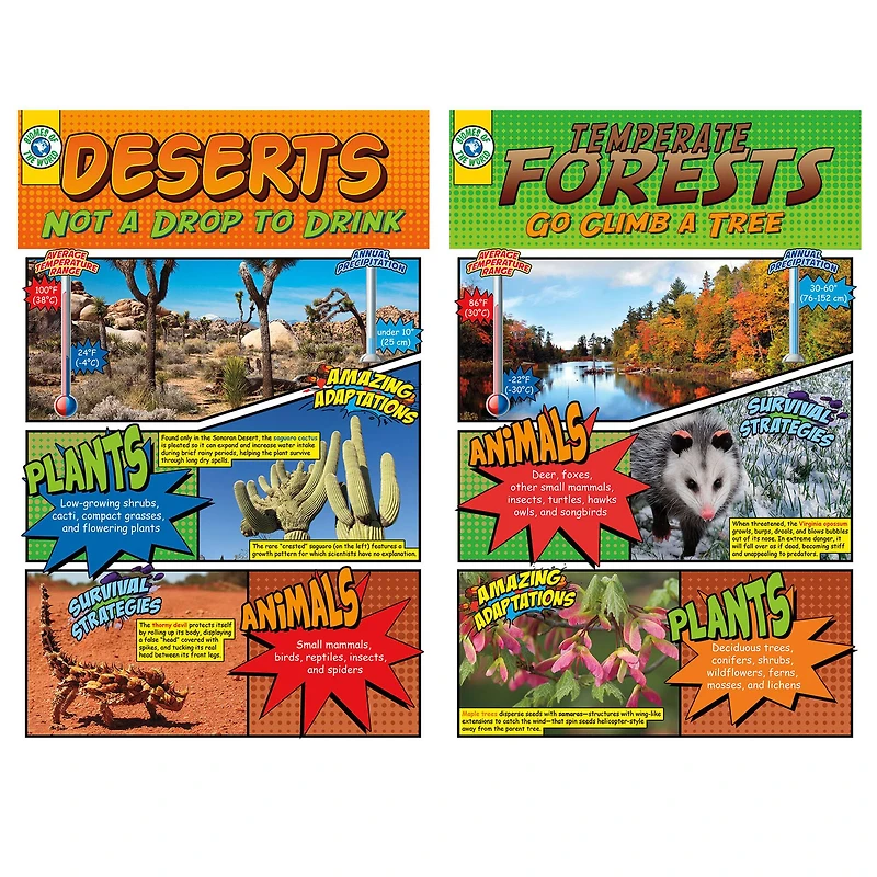 Biomes Bulletin Board Set