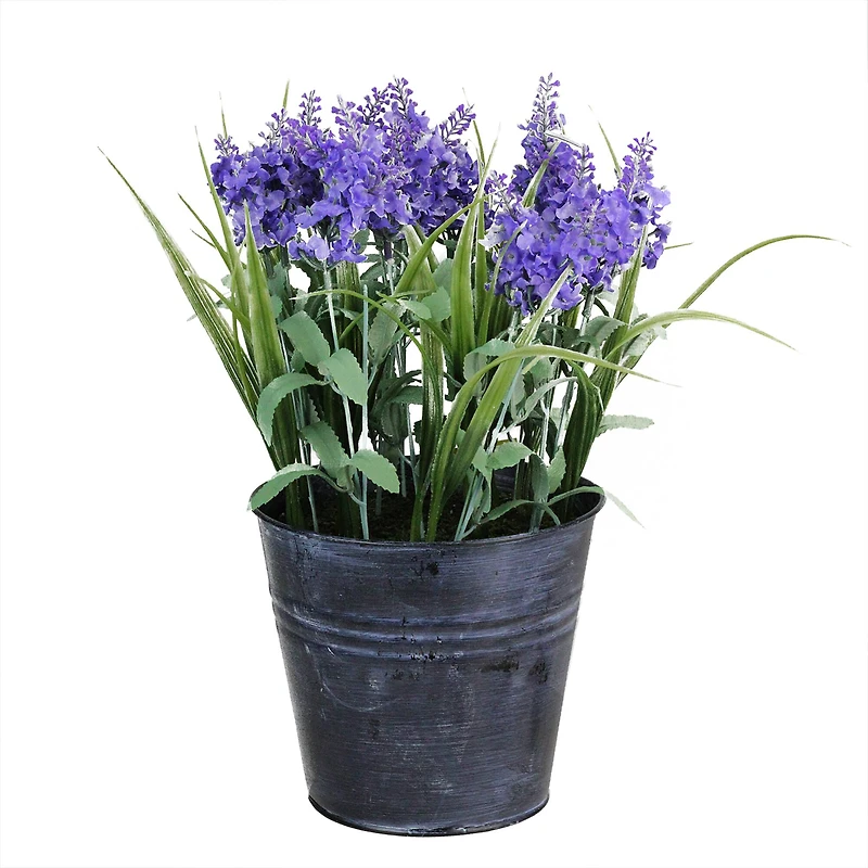 Lavender Arrangement in Distressed Blue Pot