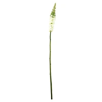 Light Green Foxtail Floral Crafting Stem