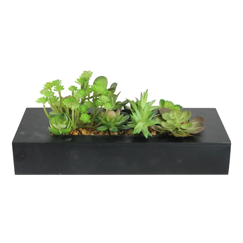 6" Artificial Succulent Plant Arrangement in Black Garden Box