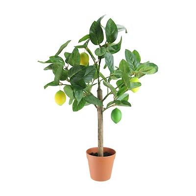 25" Lemon Potted Topiary with Unripe Fruit