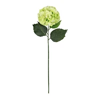 Garden Blooms Hydrangea Stem by Ashland