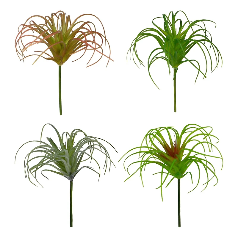 24 Pack: Assorted Tillandsia Pick by Ashland®