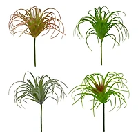 24 Pack: Assorted Tillandsia Pick by Ashland®