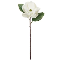 White Magnolia Stem by Ashland®