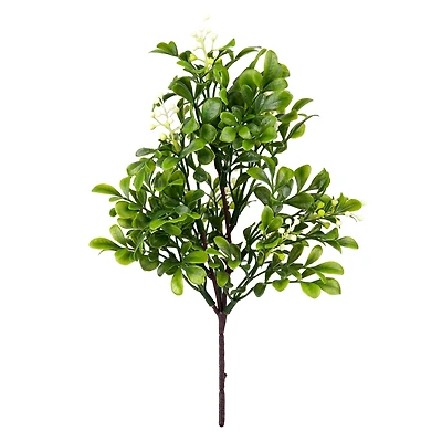 11" Boxwood Pick by Ashland®