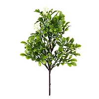 11" Boxwood Pick by Ashland®
