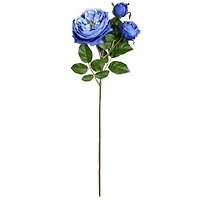 Blue English Rose Stem by Ashland®
