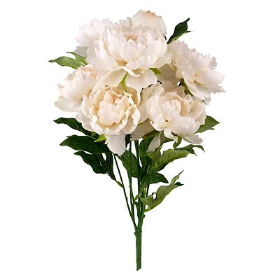 Cream Peony Bush by Ashland®