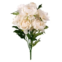 Cream Peony Bush by Ashland®
