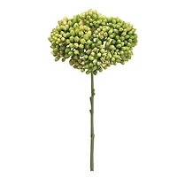 24 Pack: Green Sedum Spray Stem