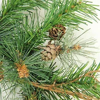 24" Country Mixed Pine Artificial Wreath
