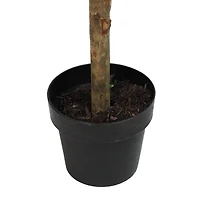 5ft Two Tone Green Artificial Murraya Ball Potted Topiary