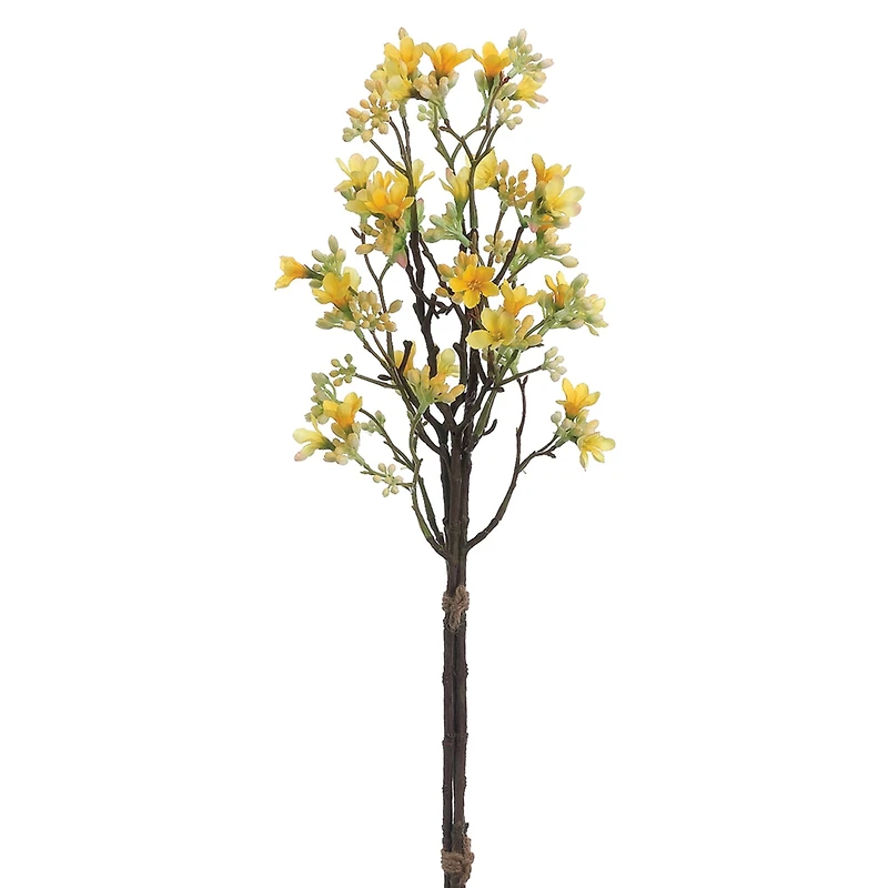 Yellow Heptacodium Bundle