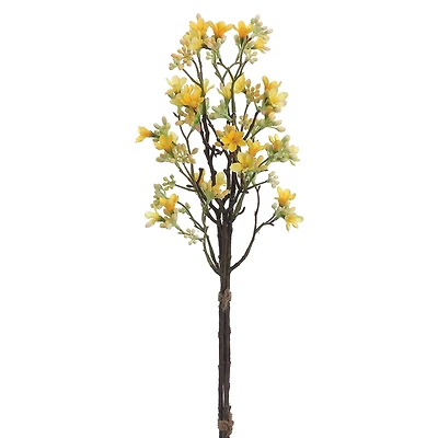 Yellow Heptacodium Bundle