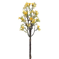 Yellow Heptacodium Bundle