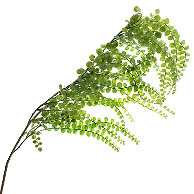 12 Pack: Green Weeping Fern Spray by Ashland®