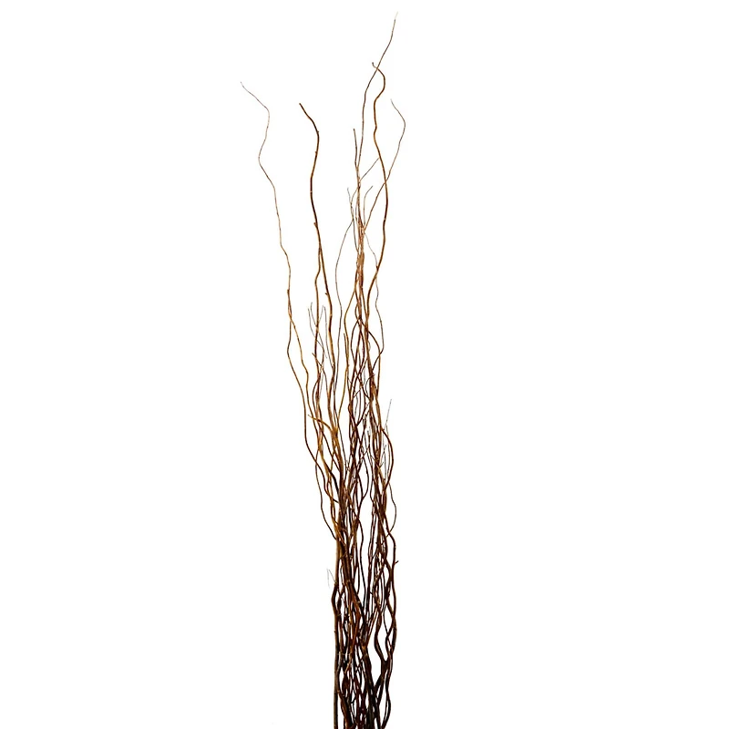 Natural Curly Willow by Ashland®