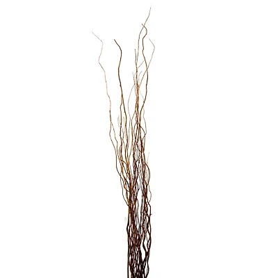 Natural Curly Willow by Ashland®