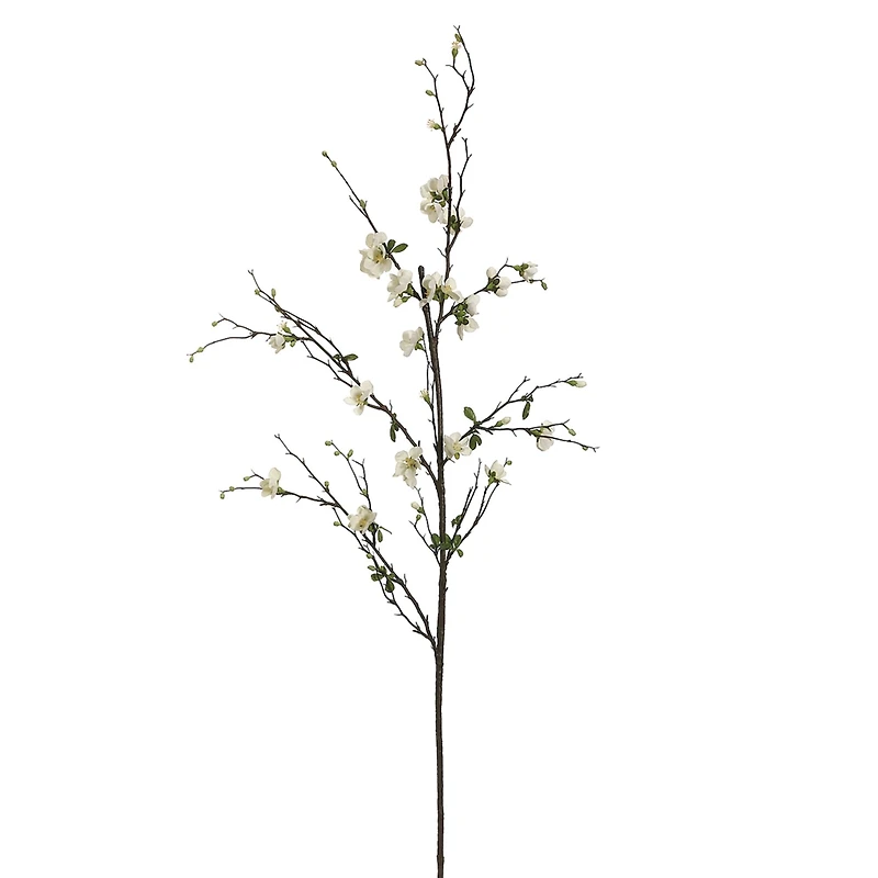 Cream Quince Blossom Stem