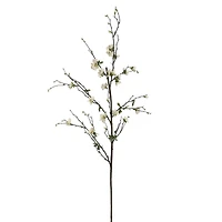 Cream Quince Blossom Stem