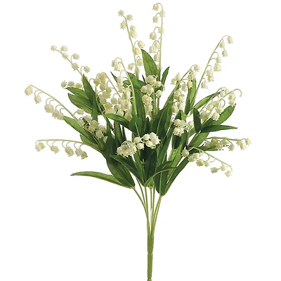 Lily of the Valley Bush