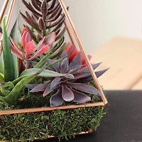 9" Artificial Succulent Arrangement In 4 Sided Copper Wire Frame