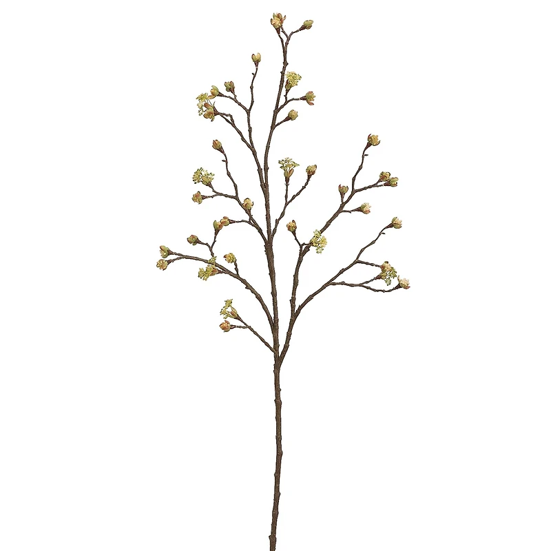 Yellow Budding Blossom Stem