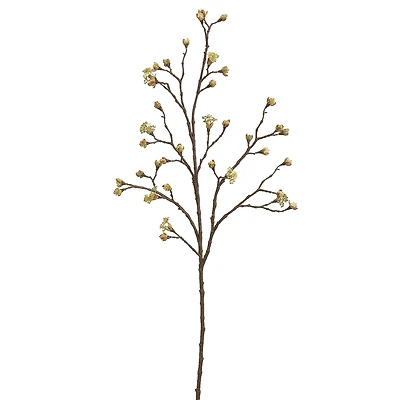 Yellow Budding Blossom Stem