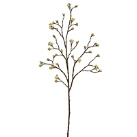 Yellow Budding Blossom Stem