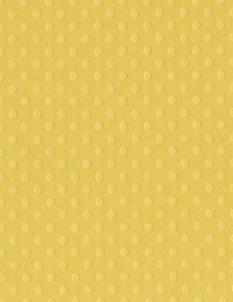 Bazzill® Basics Dotted Swiss Cardstock, 8.5" x 11"