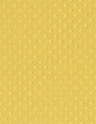 Bazzill® Basics Dotted Swiss Cardstock, 8.5" x 11"