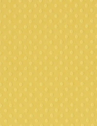 Bazzill® Basics Dotted Swiss Cardstock, 8.5" x 11"