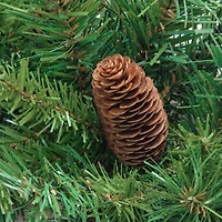 24" Dakota Red Pine Artificial Wreath with Pinecones