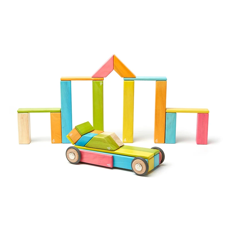 Tegu Tints Block 42 Piece Set