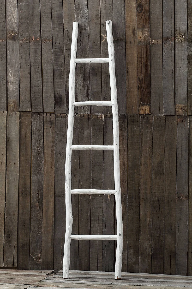 Hello Honey® Decorative Wooden Ladder