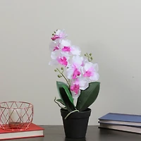 White & Pink Artificial Flowering Potted Tropical Orchid