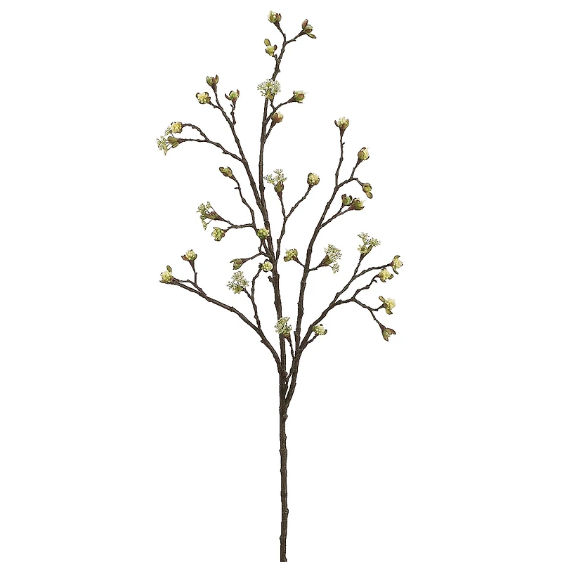 Cream Green Budding Blossom Stem