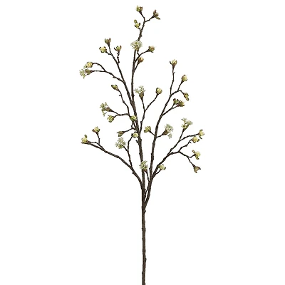 Cream Green Budding Blossom Stem