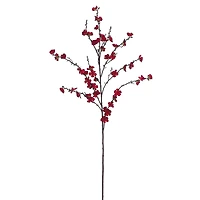 Red Plum Blossom Stem