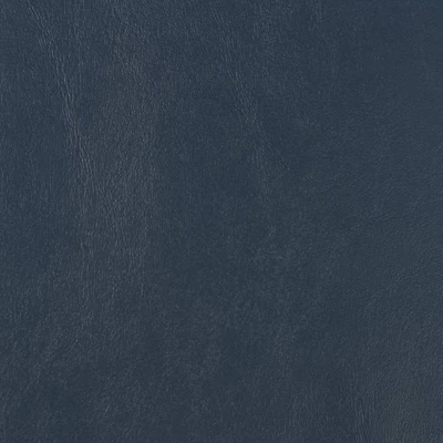 Seaquest Navy Blue Vinyl