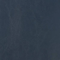 Seaquest Navy Blue Vinyl