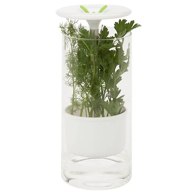 Honey Can Do Clear & White Herb Preserver