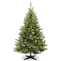 6ft. Pre-Lit Kincaid Spruce Full Artificial Christmas Tree, Clear Lights