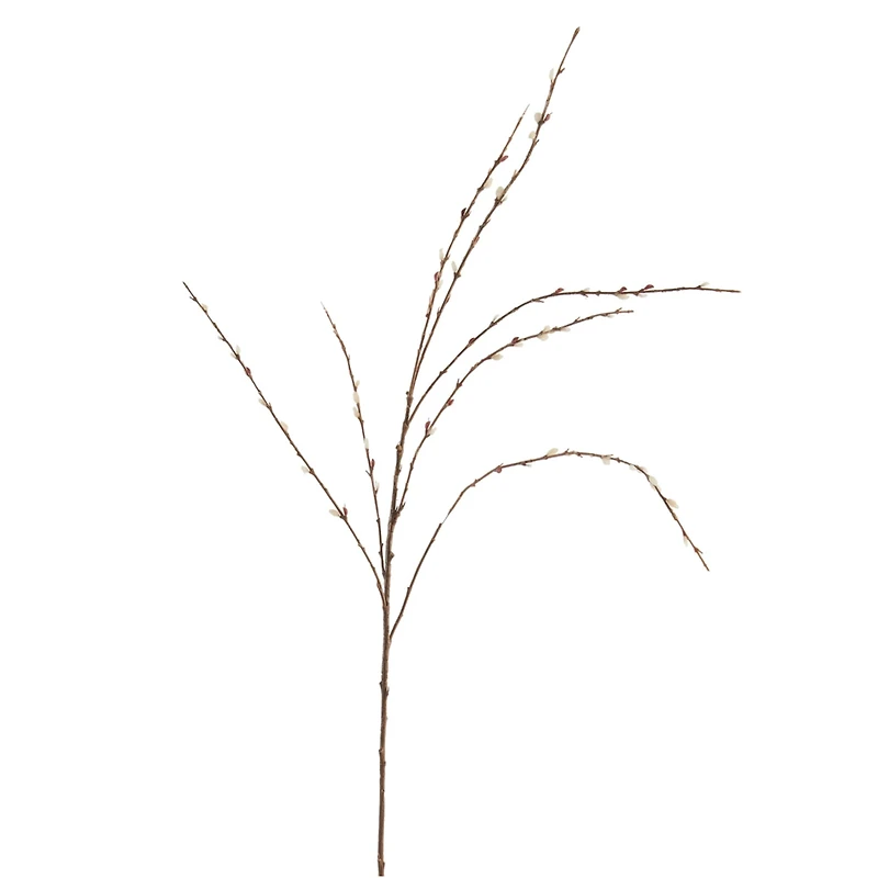 Pussy Willow Stem by Ashland®