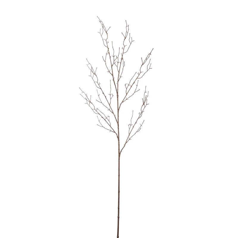 12 Pack: Brown Twig Stem by Ashland®